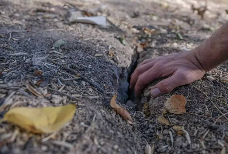 Her geçen gün sayısı artıyordu! Herkes panik halinde, kaygılar yükseldi...Nedeni ise 13